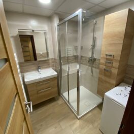 Rekonstrukce hnědé koupelny se sprchovým koutem (Klášterec nad Ohří)