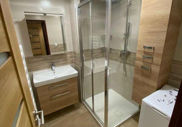 Rekonstrukce hnědé koupelny se sprchovým koutem (Klášterec nad Ohří)